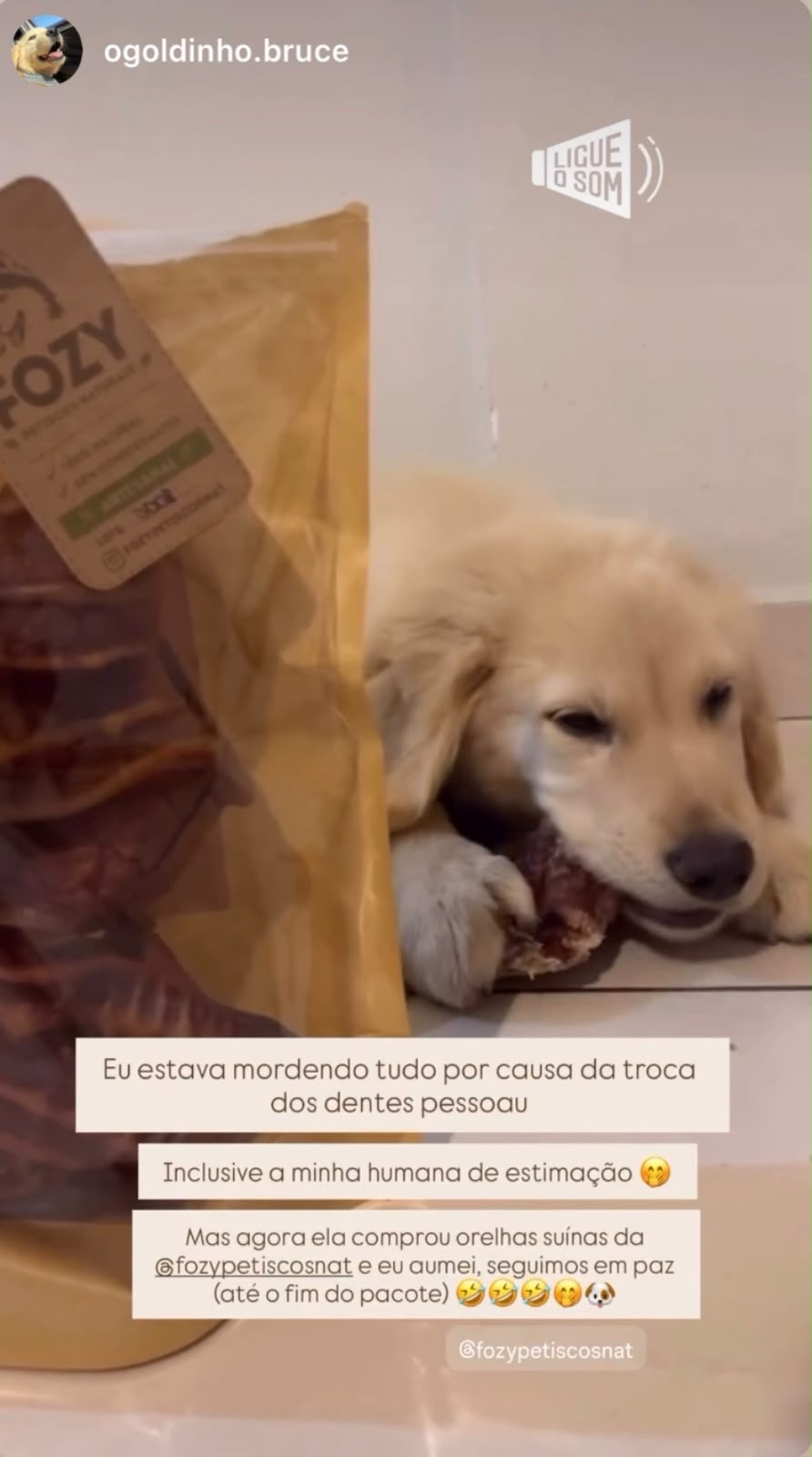 Avaliação de cliente FOZY 6