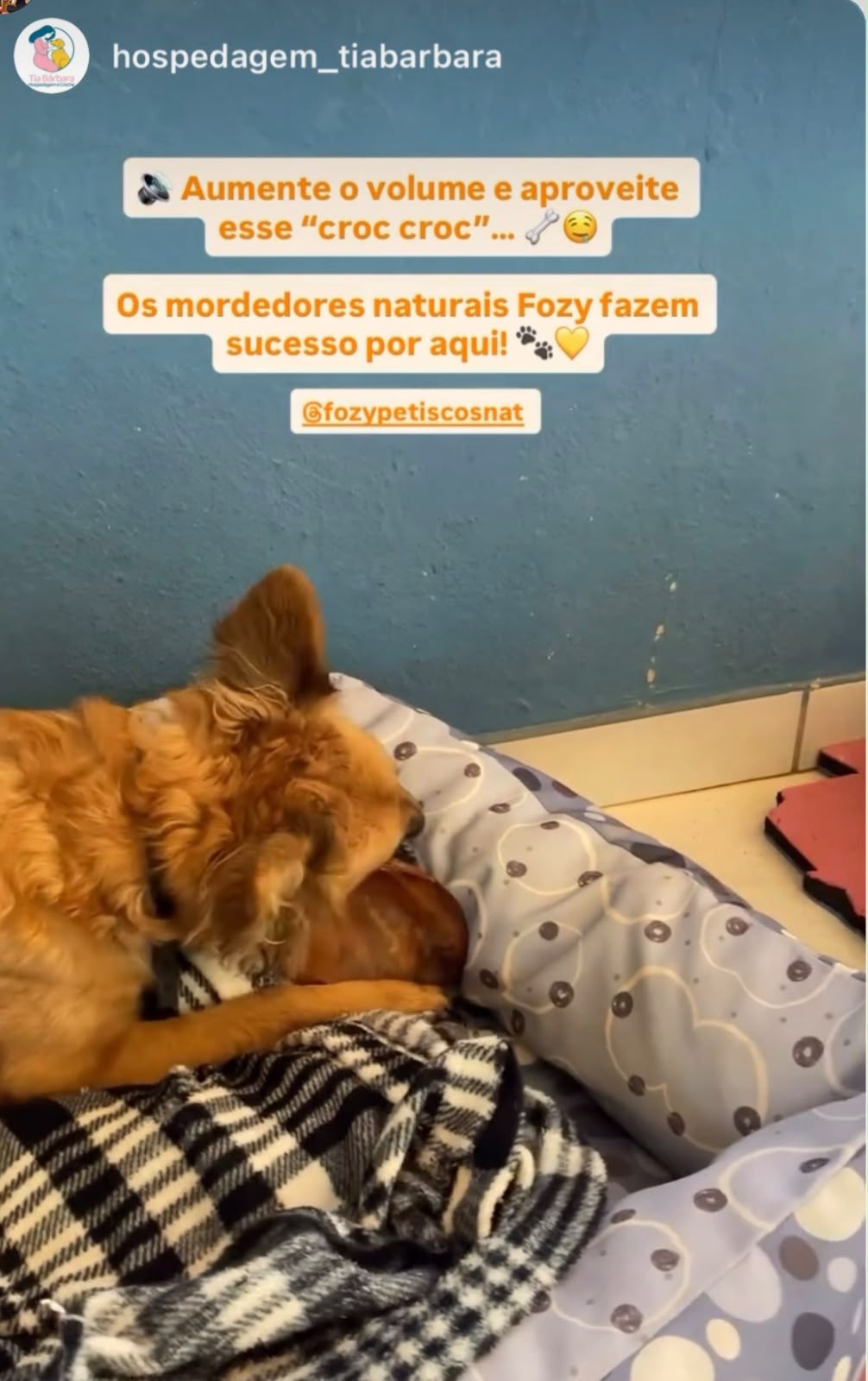 Avaliação de cliente FOZY 8