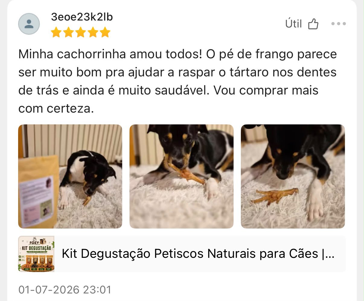 Avaliação de cliente FOZY 20